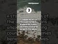 top 5 disturbing facts #follow #facts#subscribe
