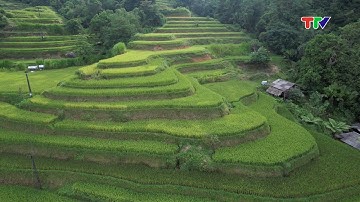 RUỘNG BẬC THANG NƠI SẮC MÀU VĂN HÓA HÀI HÒA VỚI THIÊN NHIÊN