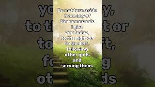 Salvation - 28:14
