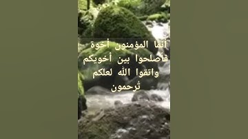 انما المؤمنون أخوة #قرآن #سورة_الحجرات #دعاء #اسلاميات  #اذكار #لايك #اكسبلور