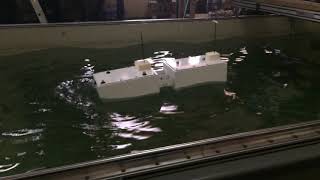 Generic Wave Energy Converter (WEC) in regular waves / Convertidor de energía undimotriz en olas