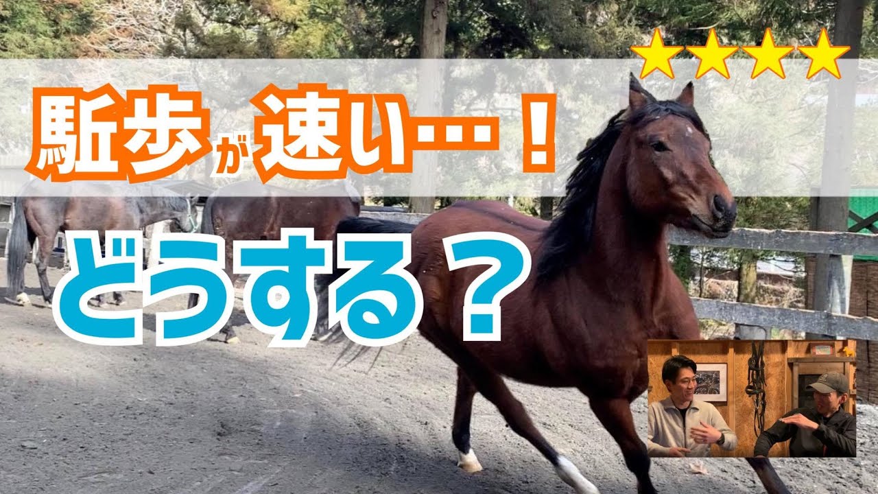 438.スピードが出た時どうする？