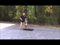 Dog Training for High Level Energy Dogs in Maryland Dog Training for High Level Energy Dogs in Maryland
