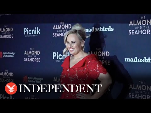 Rebel Wilson Dazzles In Red Dress At Uk Premiere Of The Almond And The Seahorse