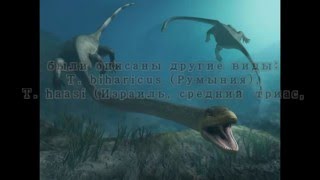 Танистрофей  Tanystropheus longobardicus ( 2 часть)