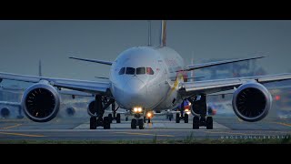 Heavy Boeing B787-8 Head-on!