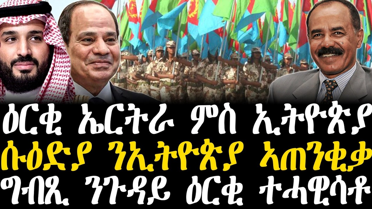 Breaking News - ዕርቂ ኤርትራ ምስ ኢትዮጵያ - ሱዕድያ ንኢትዮጵያ ኣጠንቂቃ -   ግብጺ ንጉዳይ ዕርቂ ተሓዊሳቶ - 24 Febr