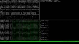 CVE 2018-13383 Exploit on Fortigate 100D