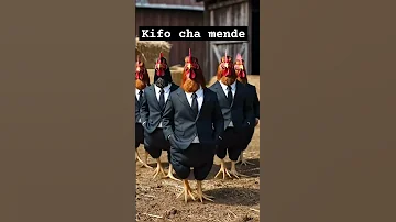 Kifo Cha Mende Tigershroff Kifosis Viralvideo 