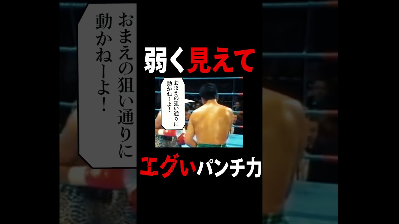 ボクシングマガジン 井上尚弥 アリ タイソン メイウェザー