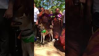 Ehipassiko  🏵️🌼🙏#vairalvideo #travel#walimadasadddaseelaswaminwahanse #tiktok#fly #vairal