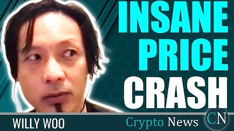 Willy Woo: Insane Price Crash