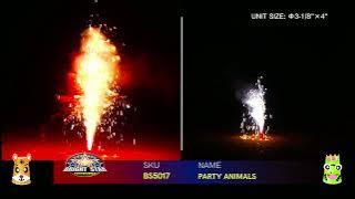 WINDA and BRIGHTSTAR 2022 NEW ITEMS VIRTUAL DEMO