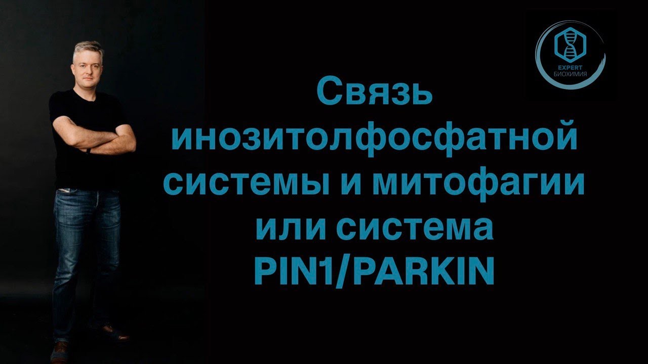 Связь инозитолфосфатной системы и митофагии или система PIN1/PARKIN