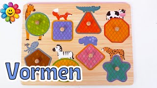 Leer Vormen En Kleuren Met Een Educatieve Puzzel Voor Kinderen