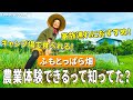 【公式チャンネル第5弾】ふもとっぱらの畑で収穫体験！