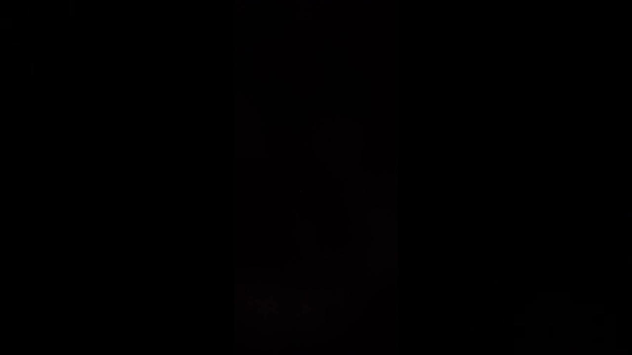 I think people dislike changed furry game