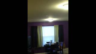 Moth Attack