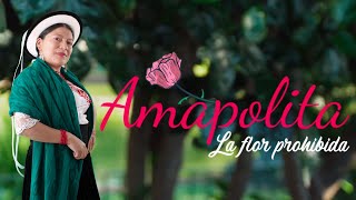 AMAPOLITA - Ñuka Mamita (Official Video)