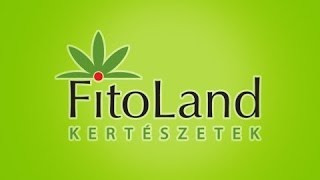Fitoland Kertészet, Dél-Buda