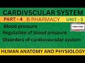 CARDIVSCULAR SYSTEM | Blood pressure regulation