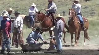 Pedro Video for Ranch World Ads