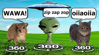 Hyrax And Oiiaoiia Spinning Cat Vs Alien Speaking Meme 360
