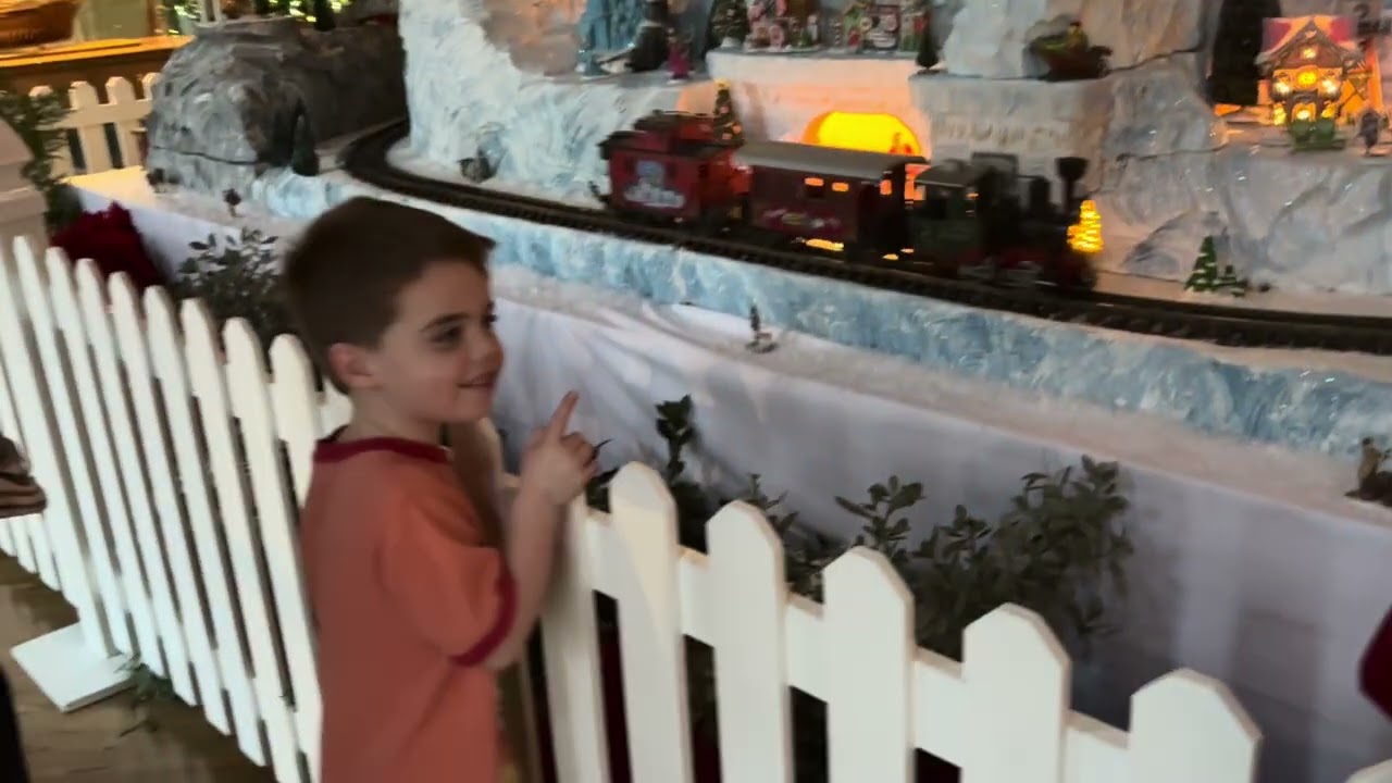 Davis Family Disney World December 2024