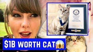 Taylor Swift’s CAT Olivia Benson's Networth - You Won't Believe This