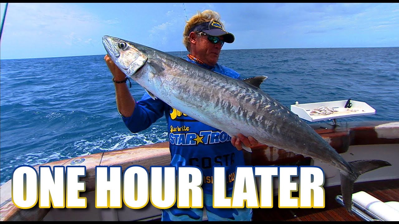 Рыбалка на люциана и групера в Ки-Уэсте, Флорида