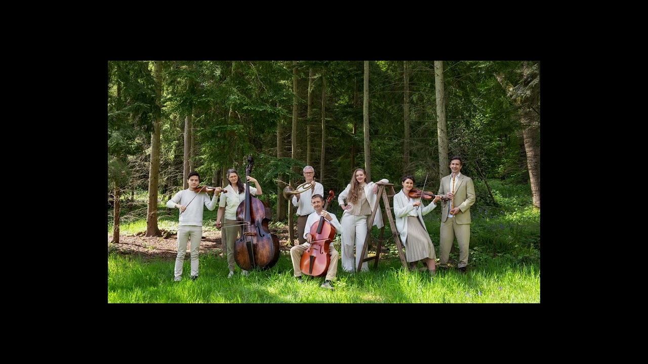 Haydn: Symphony no. 93