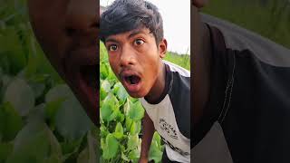 বন্ধু যখন আমেরিকা  থেকে চশমা নিয়ে আসে #funny #comedy #funnyshorts #banglafunny