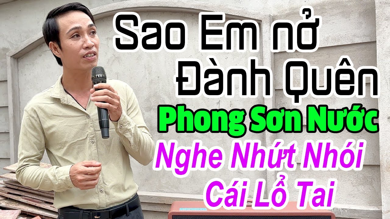 Nghe Bài Này Mà Thấm Thía Cả Đời / Sao Em Nỡ Đành Quên / PHONG SƠN NƯỚC