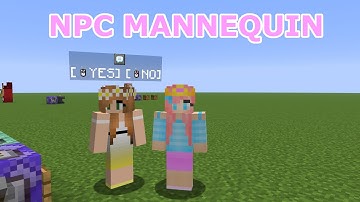 Kinda Making a Mannequin NPC Using Commands