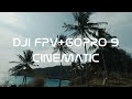 DJI FPV DRONE+GoPro 9 CINEMATIC VIDEO FREEDOM BEACH