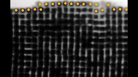 Watch nanoparticles grow into crystals