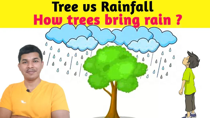 How trees bring rainfall ? Tree vs Rain SCIENCE COLLECTOR - DayDayNews