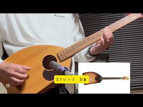 🌺島人ぬ宝✨BEGIN cover @一五一会♩音来（ニライ）　指一本簡単演奏🎶