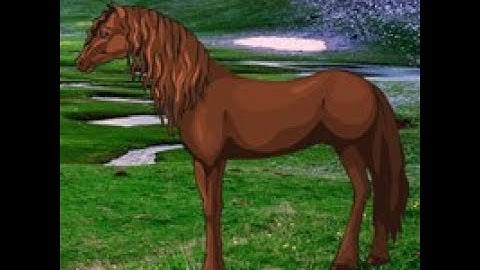 Wow Escape Game Save The Exmoor Pony Official Video Walkthrough