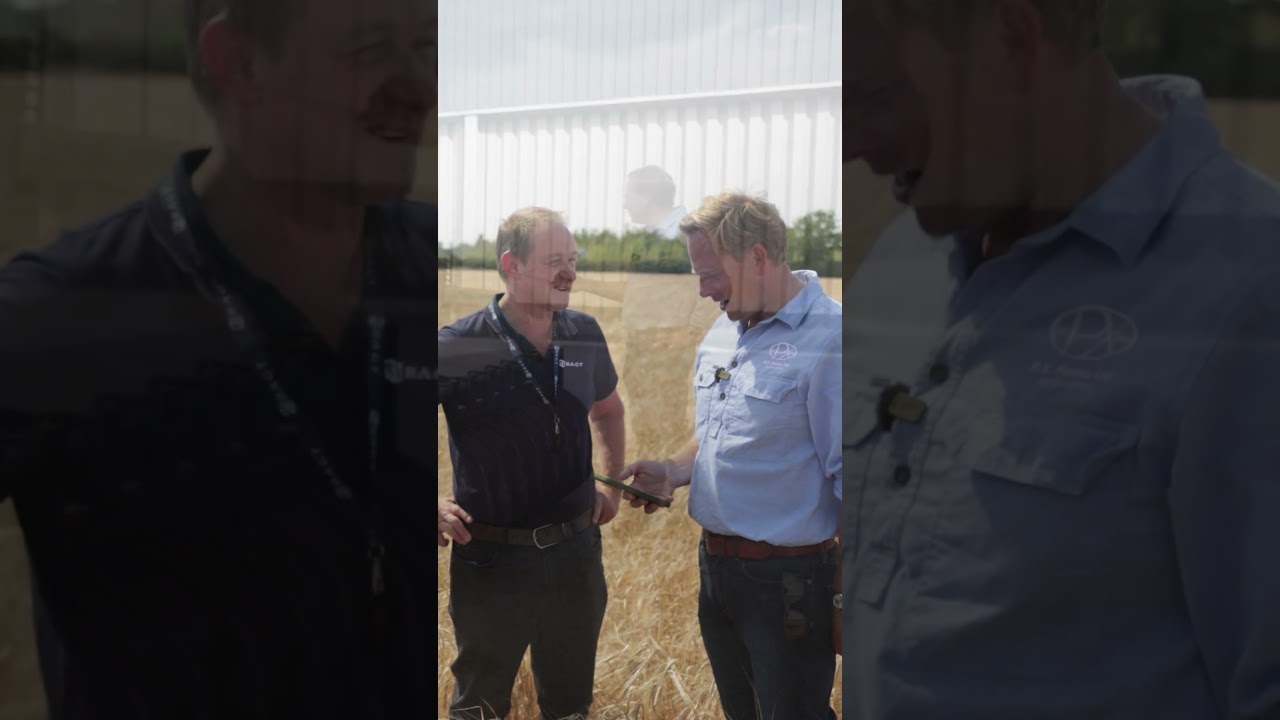 From Field to Pint, Growing Our Own Barley to Make Beer