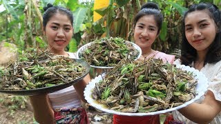 Yummy cooking grasshopper with salt recipe  Cooking skill