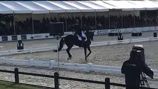 'My time' by Dressage&Music - Carina Cassøe Krüth & Heiline's Danciera - GP Dressage Freestyle