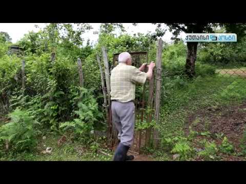 საწურბლიას მღვიმე წყალტუბოში