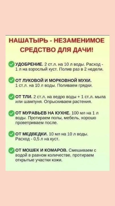 Нашатырь для дачи #нашатырь #длядачи #полезнознать #полезныесоветы # ...