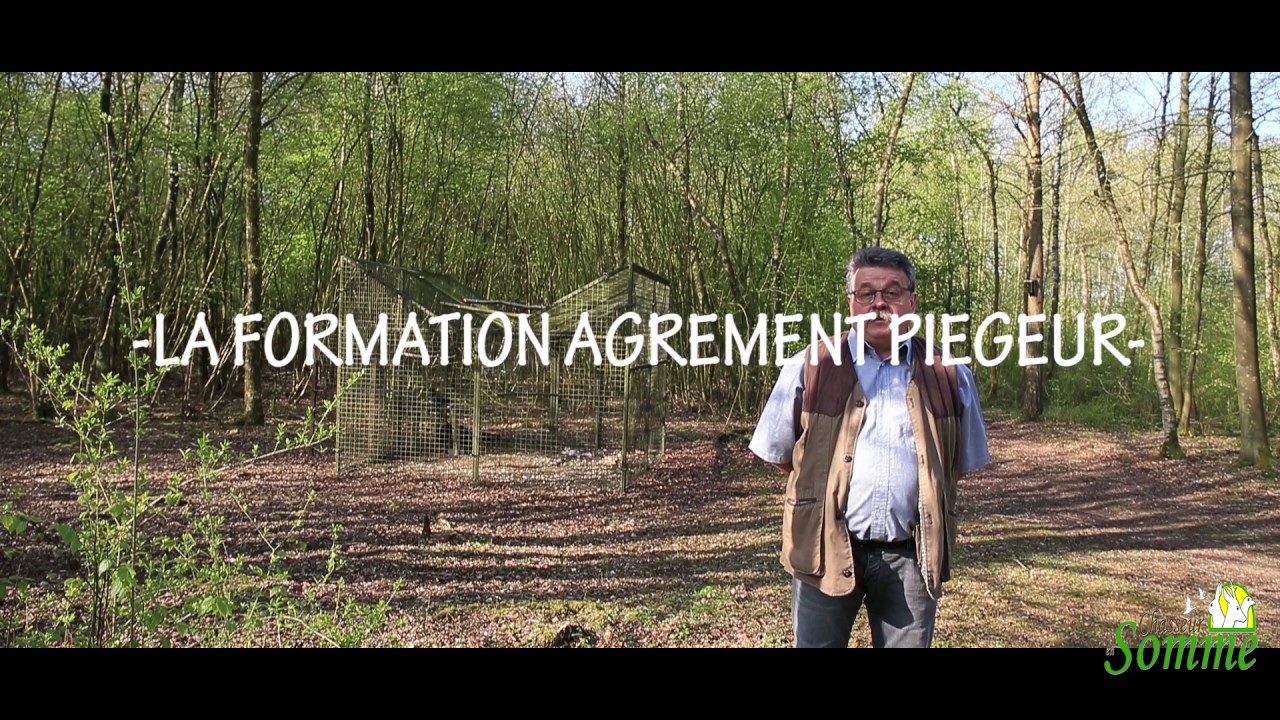 Fédération Départementale Des Chasseurs De La Somme