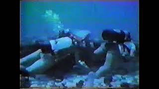 Scuba Diving in Cave looking for Sharks 1970s