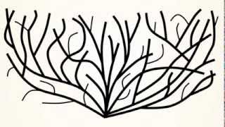 growing tree test 2