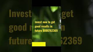 investment in land never goes in vein 8886762369 Resimi