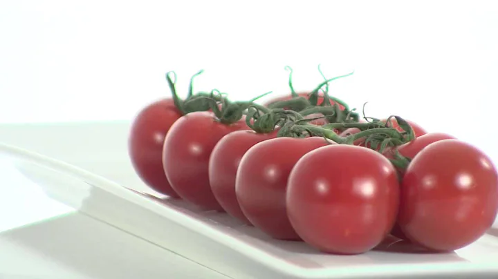 Meet & Match Wageningen UR Greenhouse Horticulture