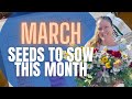WHAT SEEDS TO SOW IN MARCH 🌱🌱🌱 || When To Sow Seeds || Cut Flower Garden Seeds